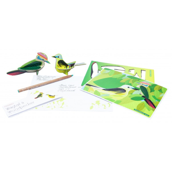 POP OUT CARD