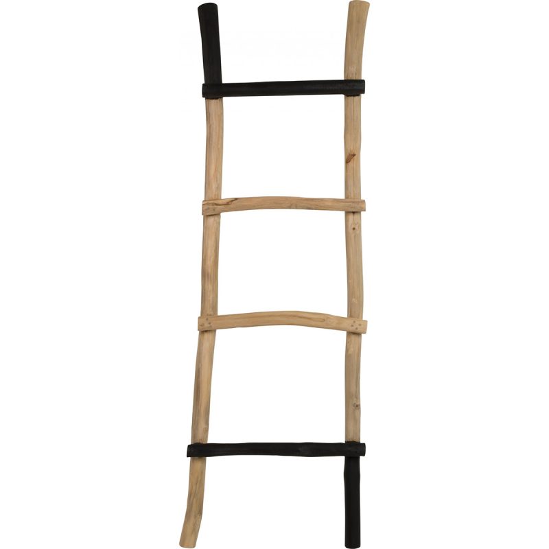 HARRY LADDER
